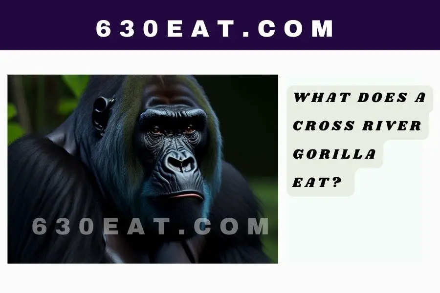 What Does a Cross River Gorilla Eat?