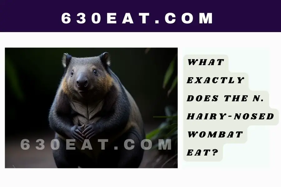 What Exactly Does the N. Hairy-Nosed Wombat Eat?